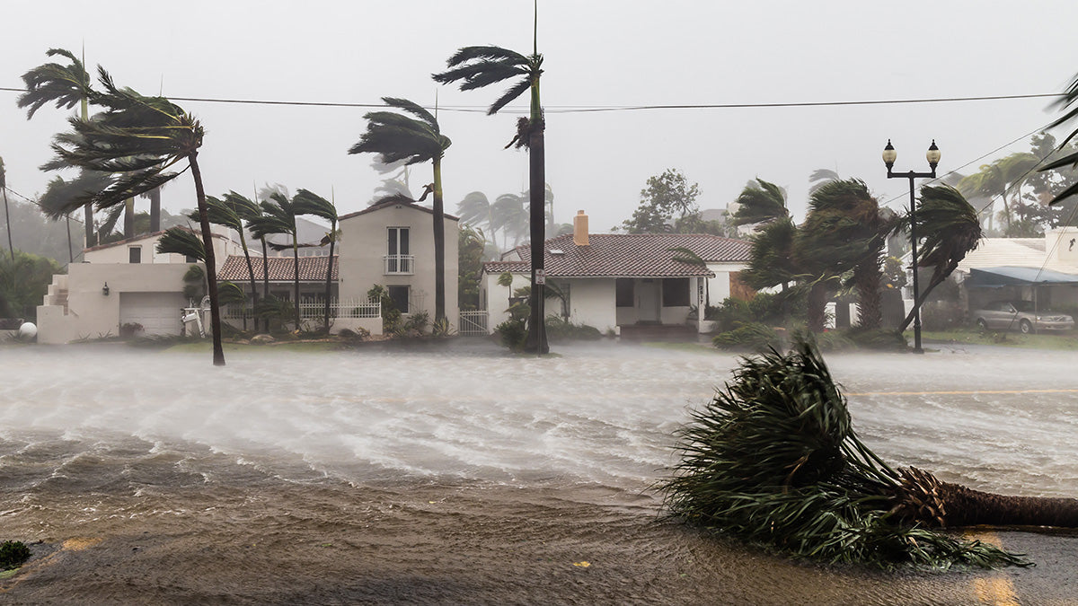 Hurricane and flood