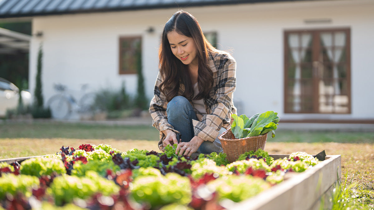 The Best, Easiest Veggies for Gardening Greenies