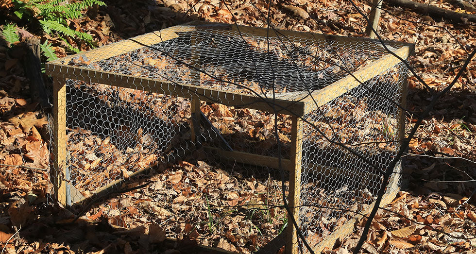 Hunting Snares: Types and How to Build One – Be Prepared