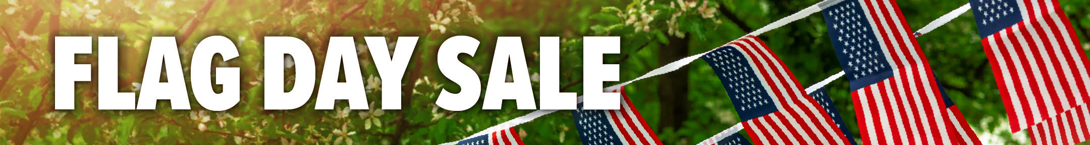 Flag Day Sale
