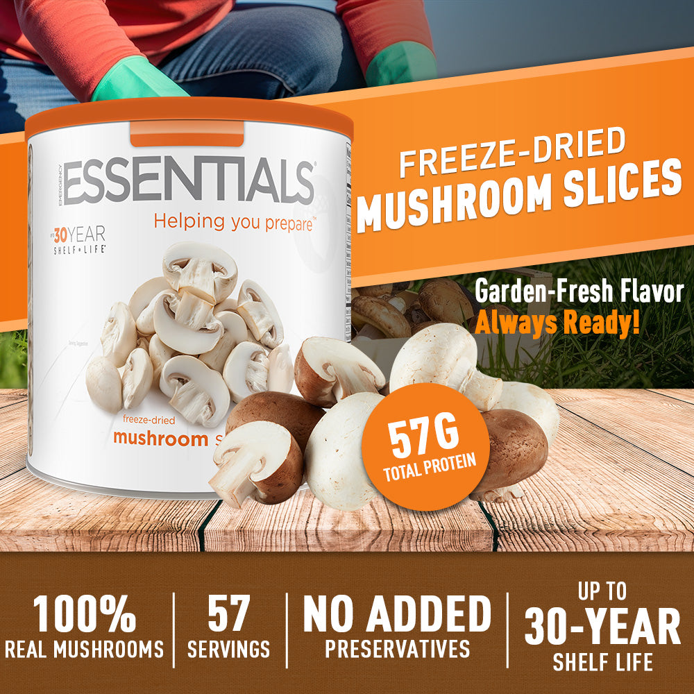 Freeze-Dried Mushroom Slices