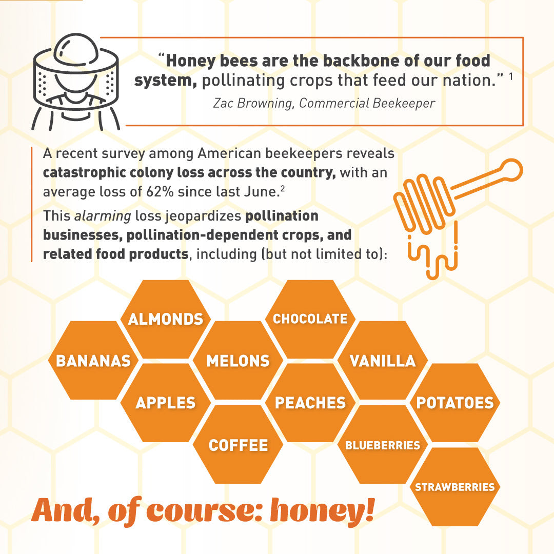 Emergency Essentials® Honey Powder Large Can