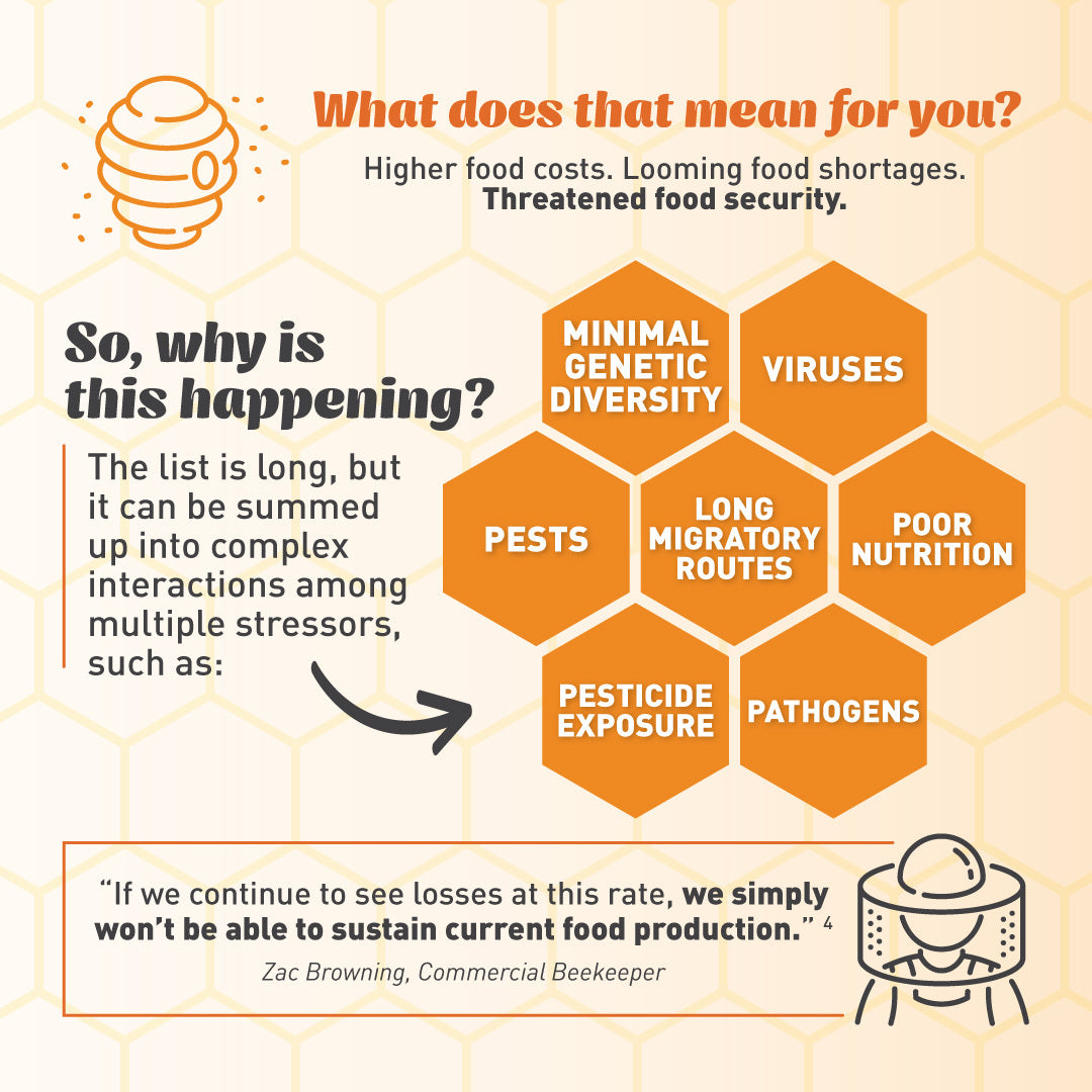 Emergency Essentials® Honey Powder Large Can