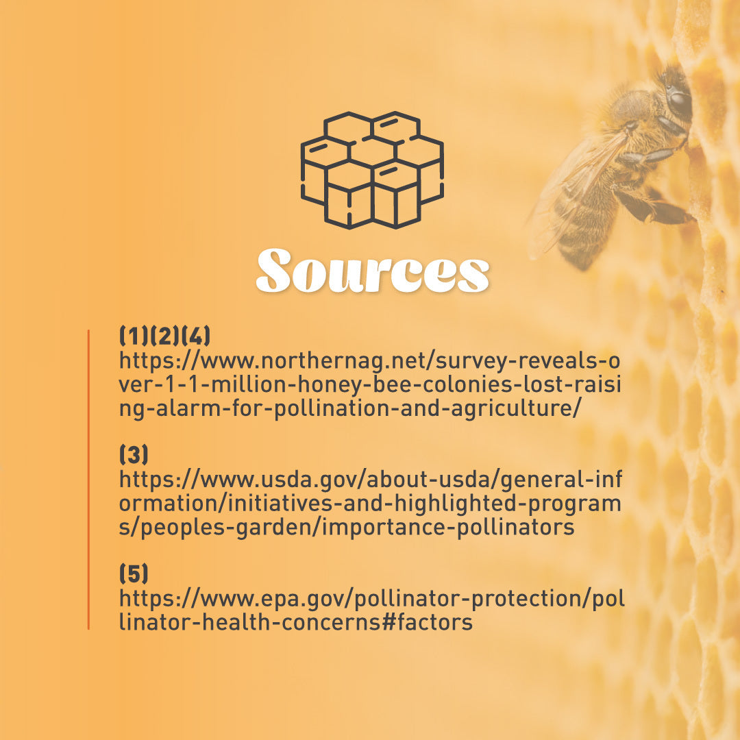 Emergency Essentials® Honey Powder Large Can