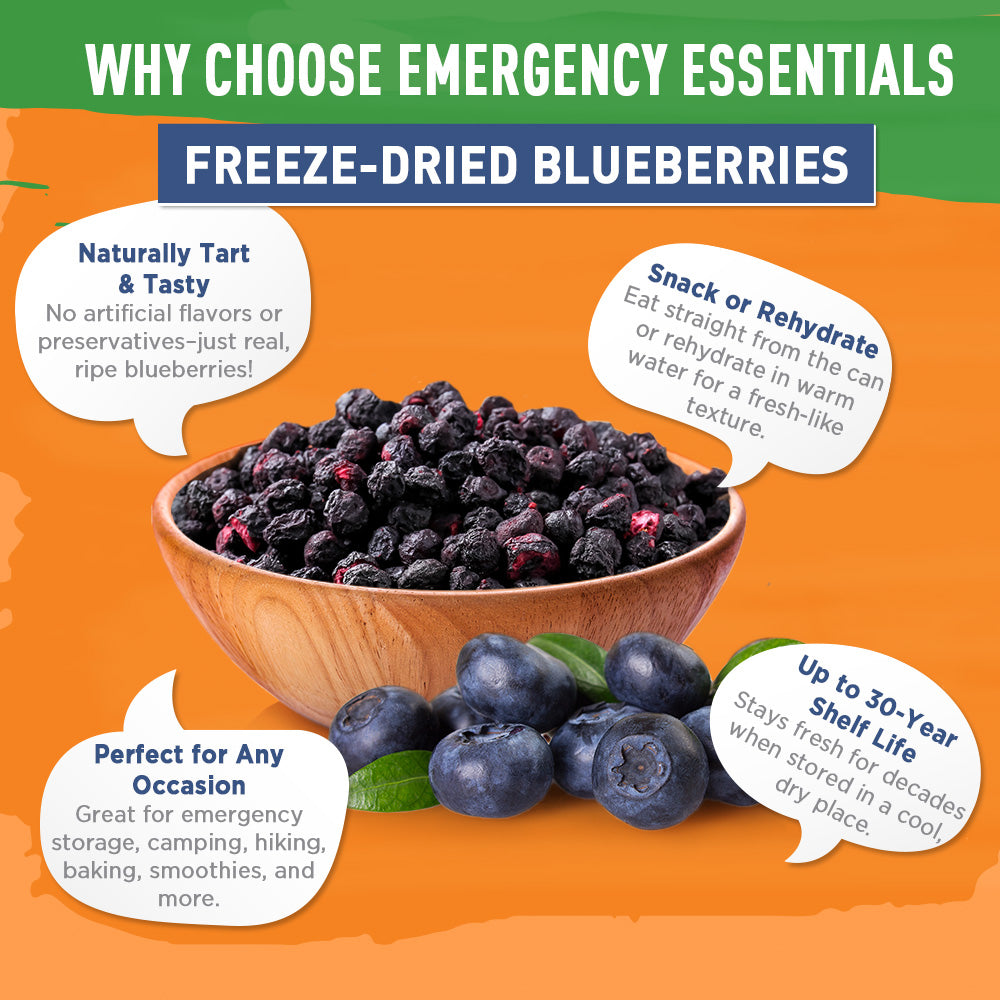 Freeze-Dried Whole Blueberries