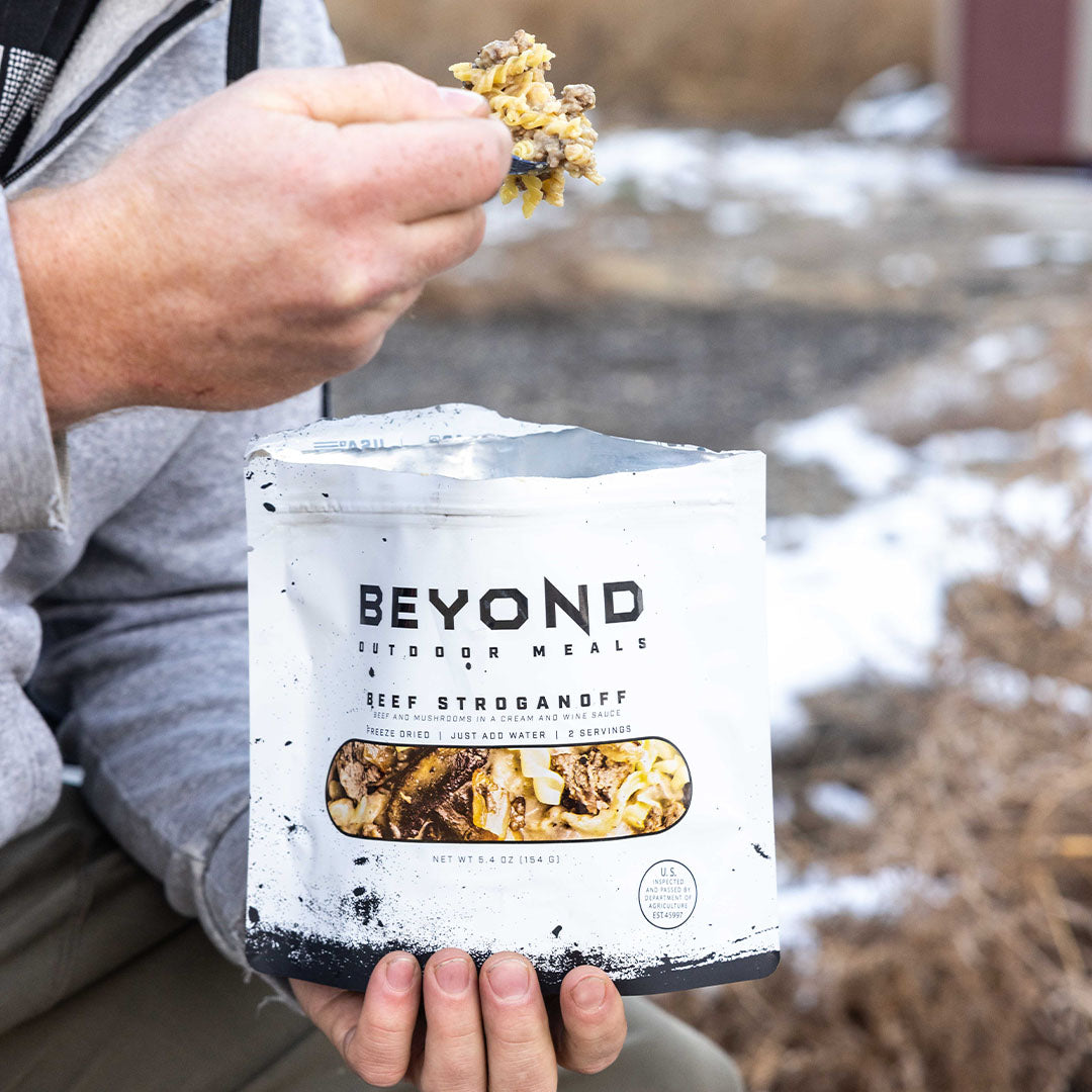 Beef Stroganoff Pouch by Beyond Outdoor Meals (710 calories, 2 servings) (7443596181644)