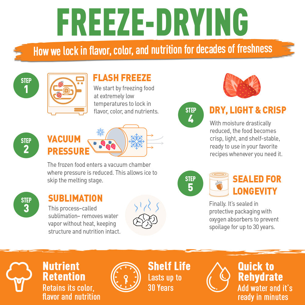 Infographic on the freeze-drying process with steps and benefits