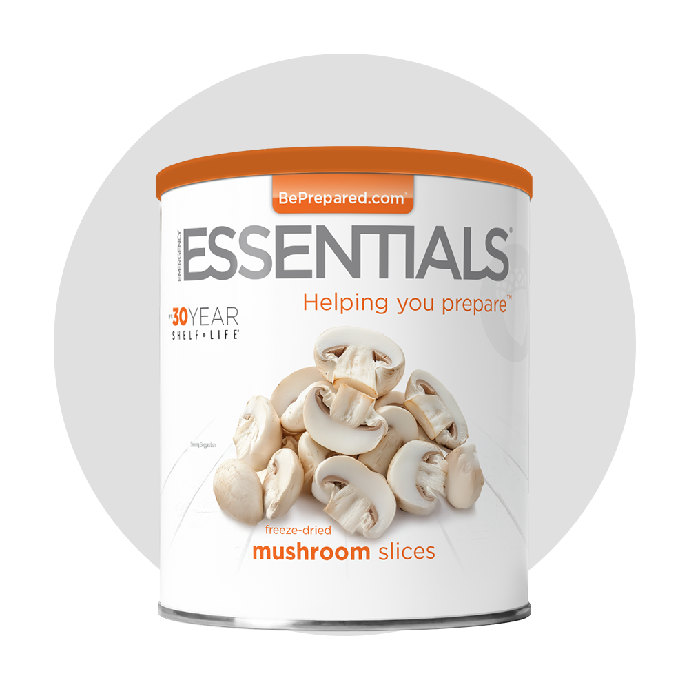 Single Pack of Freeze-Dried Mushroom Slices