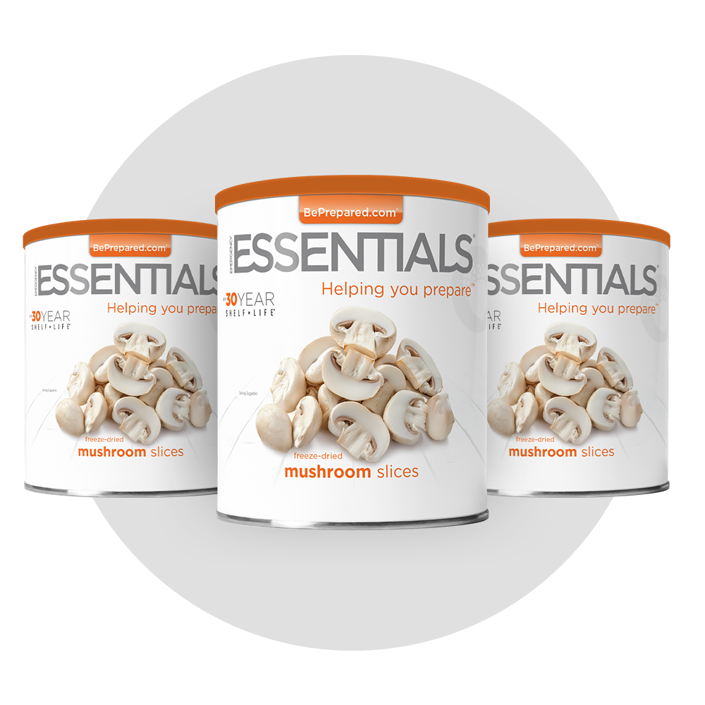 3 Pack of Freeze-Dried Mushroom Slices