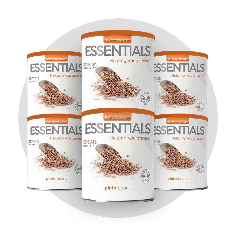 Emergency Essentials® Pinto Beans Large #10 Can