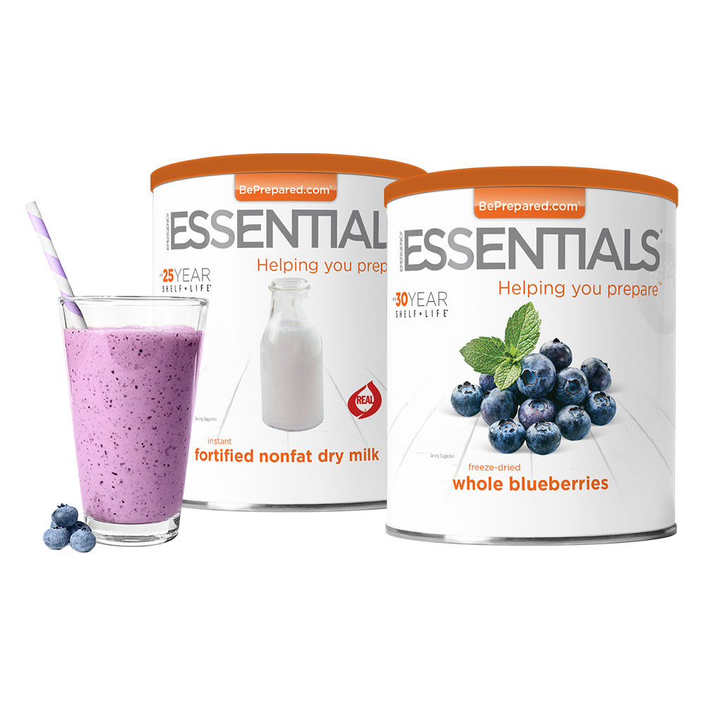 Blueberry Smoothie Kit