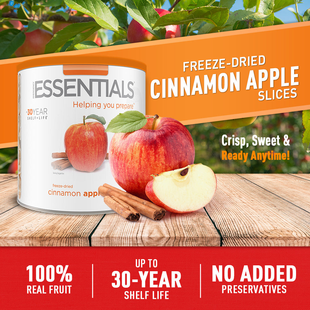 Freeze-Dried Cinnamon Apple Slices