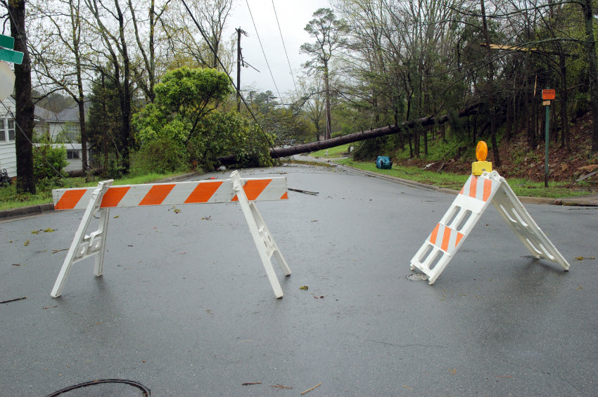 Fallen Power Line