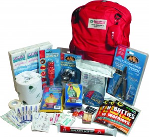 Roadwise Emergency Kit
