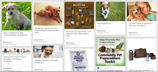 Pinterest Pet Preparedness board Pinterest Pet Preparedness board