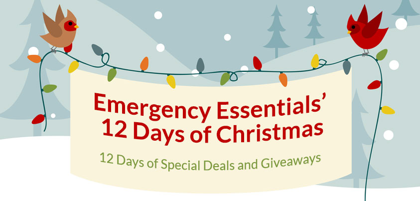 12 Days of Giveaways!