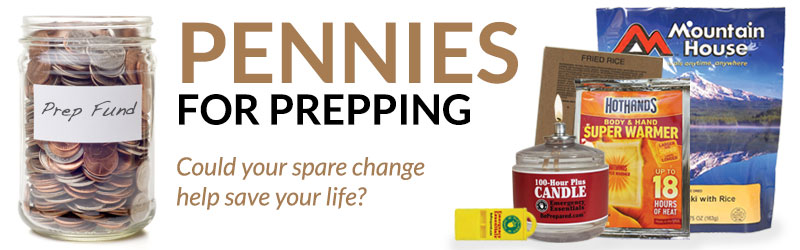 Pennies for Prepping: 2013 Year in Review