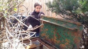 Carol Zwick uncovers a 1960s fallout shelter in her backyard