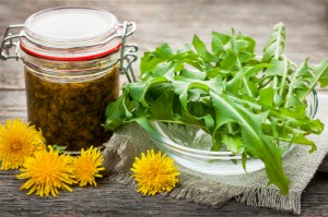 Edible dandelions and dandelion jam