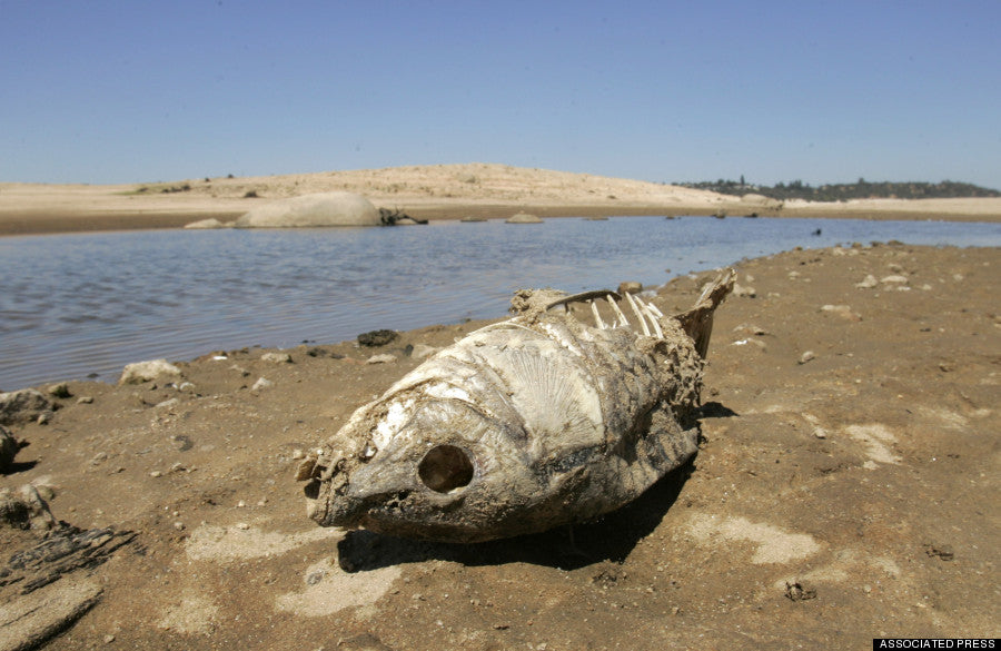 California Drought: Four Months in Review