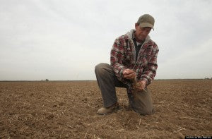 California Water Agriculture