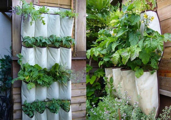 How to Grow Herbs and Veggies on your Fire Escape