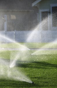 Watering Lawn