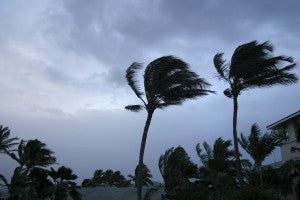 Hurricane season disaster season