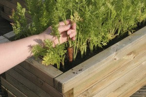 Old Timey Skills - Gardening