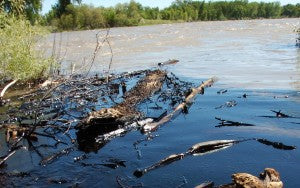 Animus River isn't the first to be polluted
