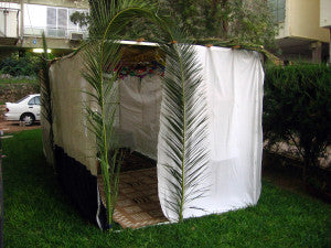 Sukkot Booth - Jewish Holiday