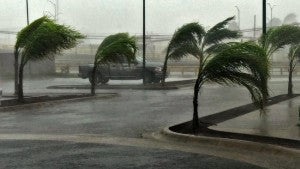 Patricia - Trees Blowing - Preparing Early