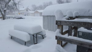 Lots of snow - The Weather Channel - unusual winter