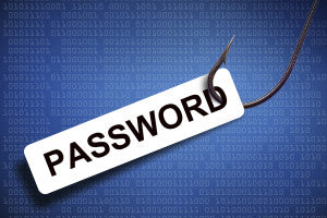 Phishing email password