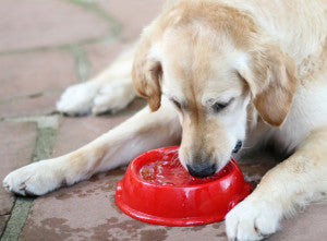 prepared with water