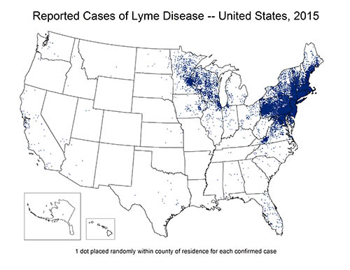 Tick Map