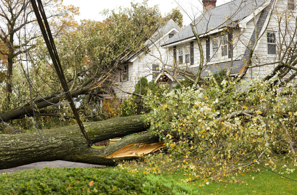 After the Storm Hurricane Preparedness Guide