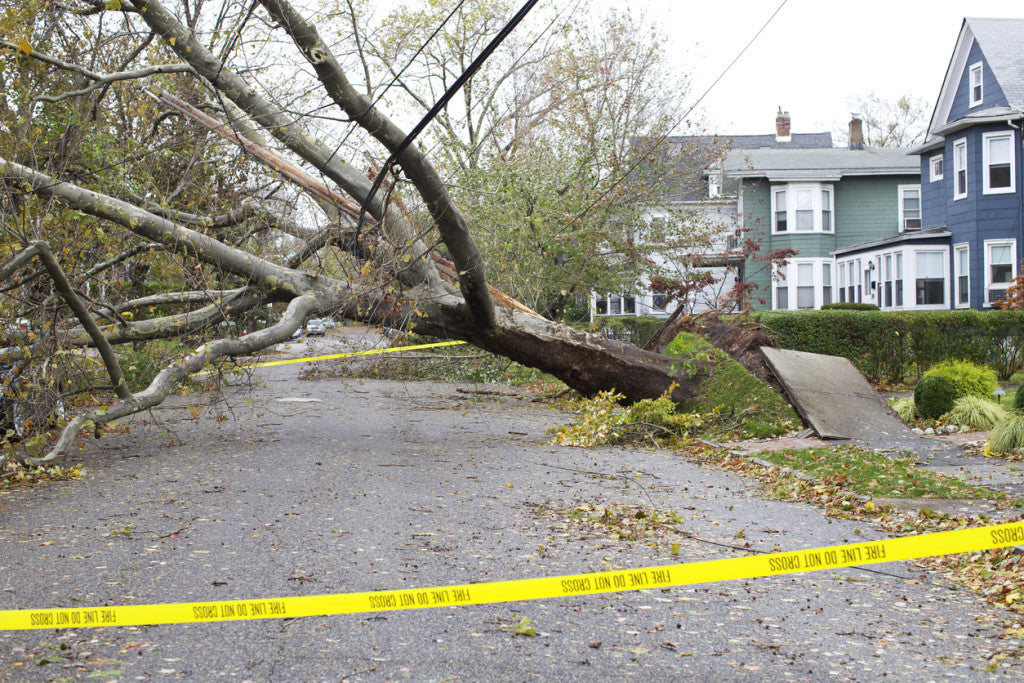 Hurricane winds hurricane preparedness rules