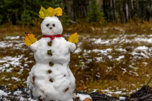 First Snowfall Cold Snowman