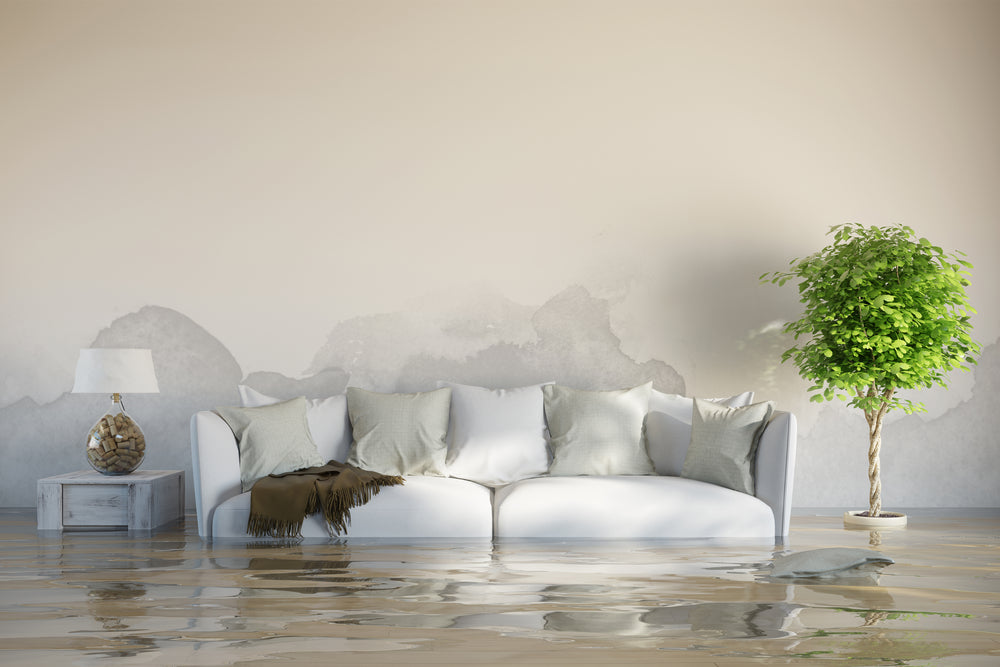 Flood in your home