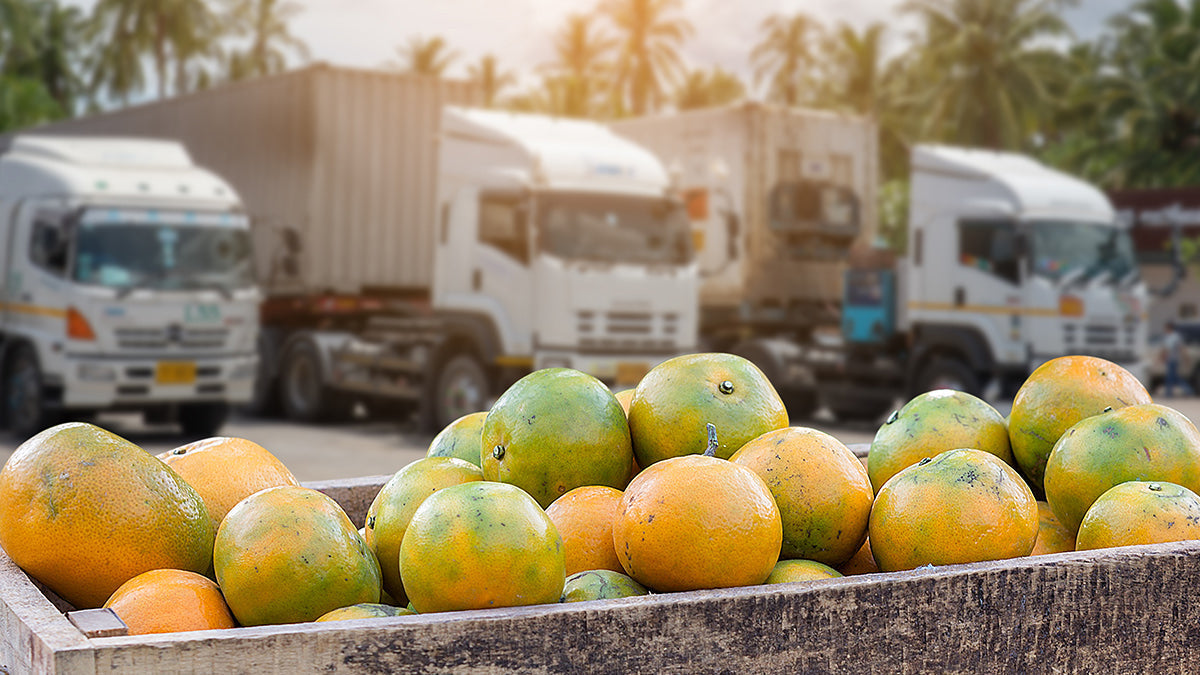 Fruit in front of delivery trucks