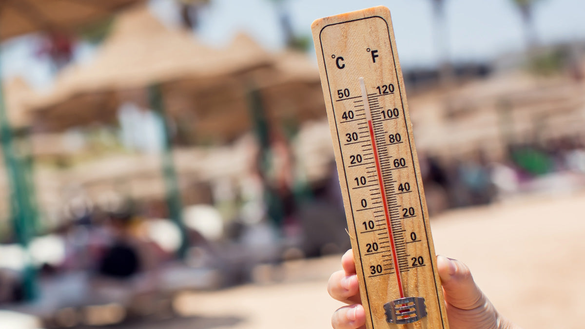 Thermometer showing 100 degrees