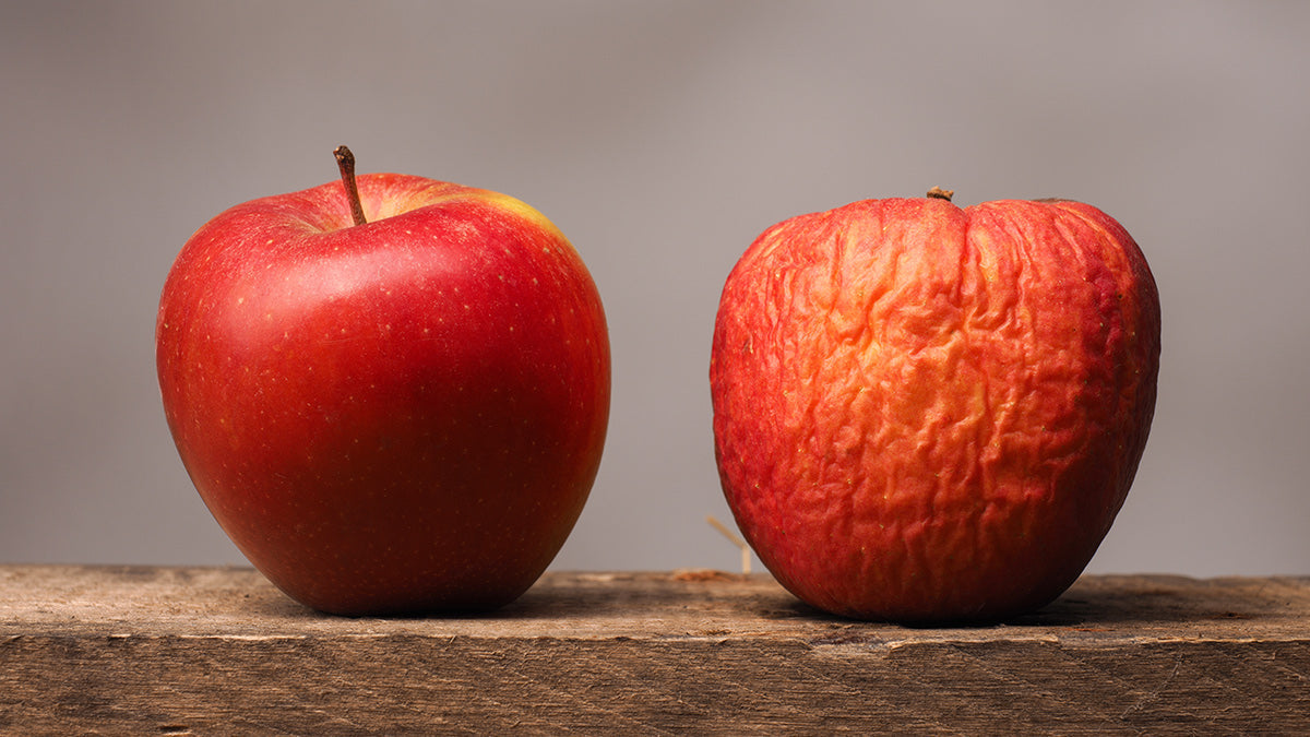 How to Use Food Storage Without Wasting a Thing