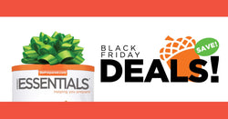 Get the Basics This Black Friday