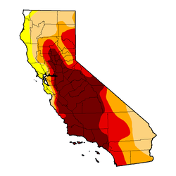 Thanks for the Rain, Pineapple Express! (Got any more?)