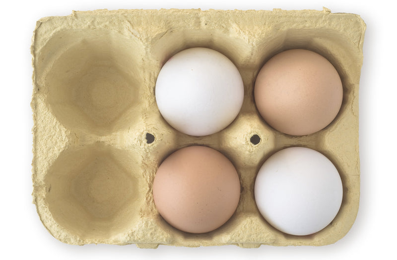 Bird Flu and Egg Shortage