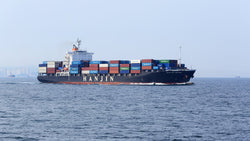 Hanjin Shipping Declares Bankruptcy: Stranded Cargo Prompts Financial Preparedness - Be Prepared - Emergency Essentials
