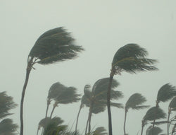 When Hurricanes Go Inland - Be Prepared - Emergency Essentials