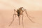 The Zika Virus: A Public Health Emergency Exploding Through the Americas