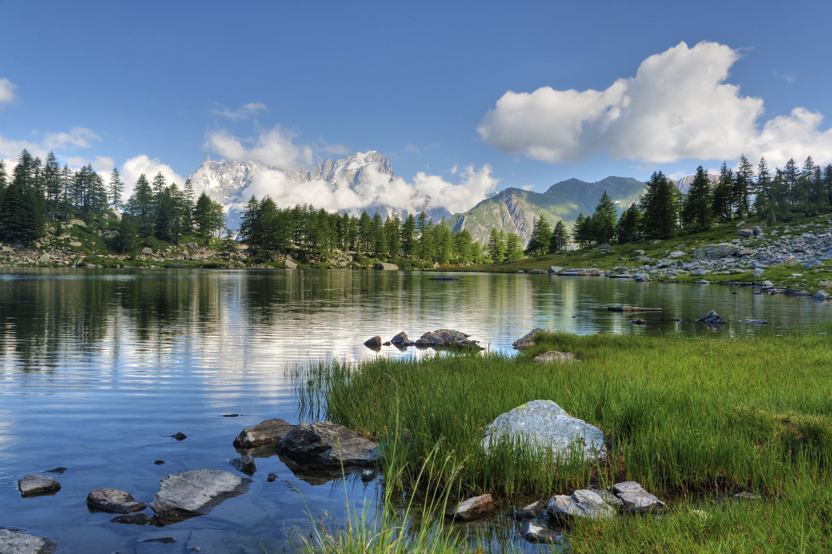 Water Filter Essentials